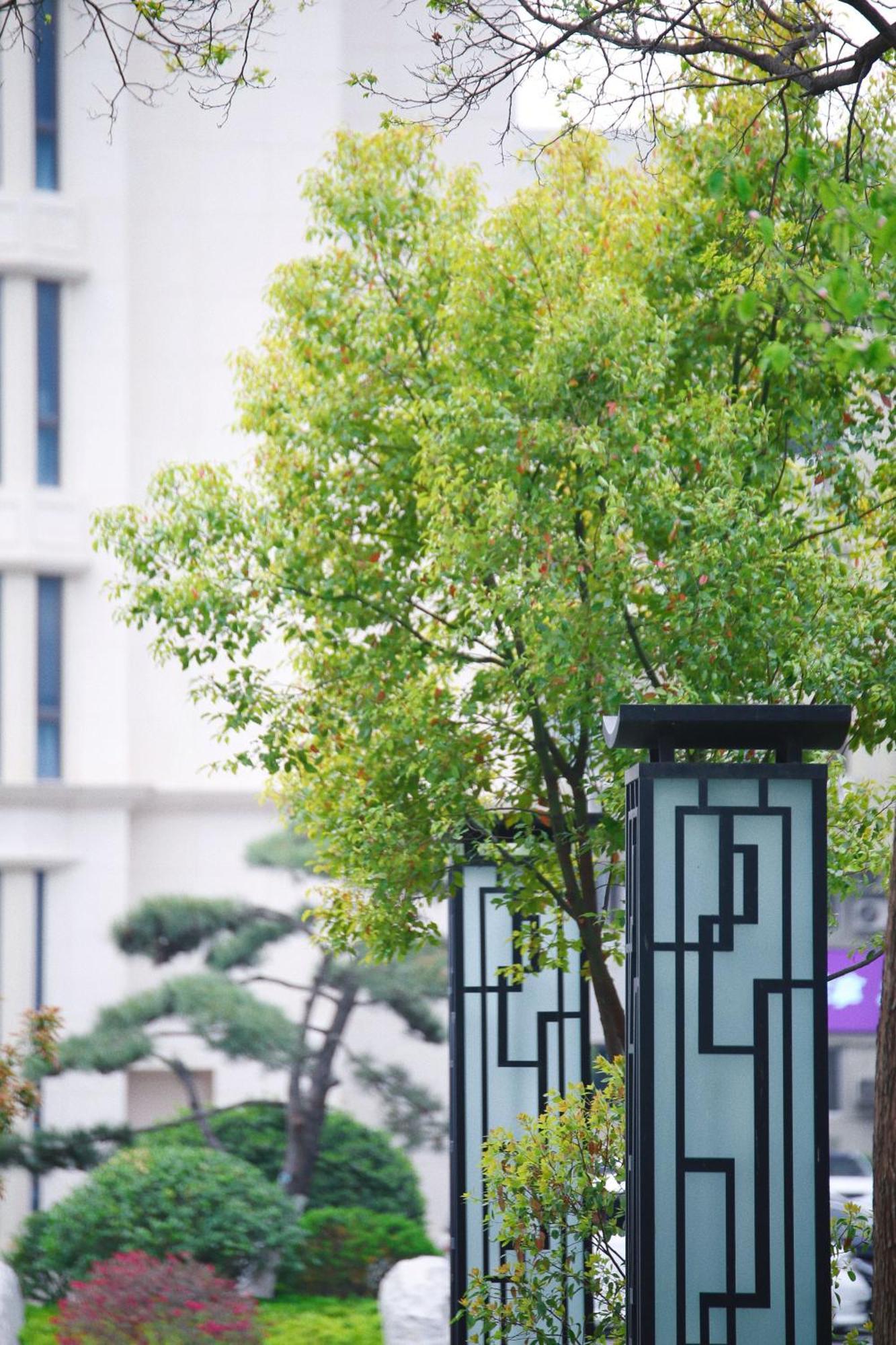 Holiday Inn Zhengzhou Zhongzhou By Ihg Exteriör bild